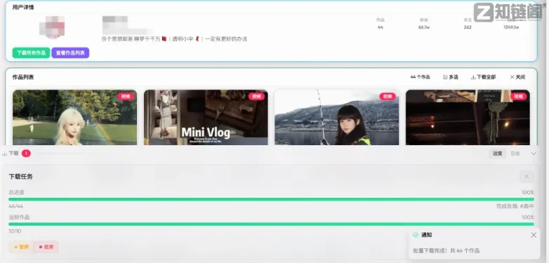 怎么批量下载抖音视频？试试这款免费免安装的桌面工具插图4